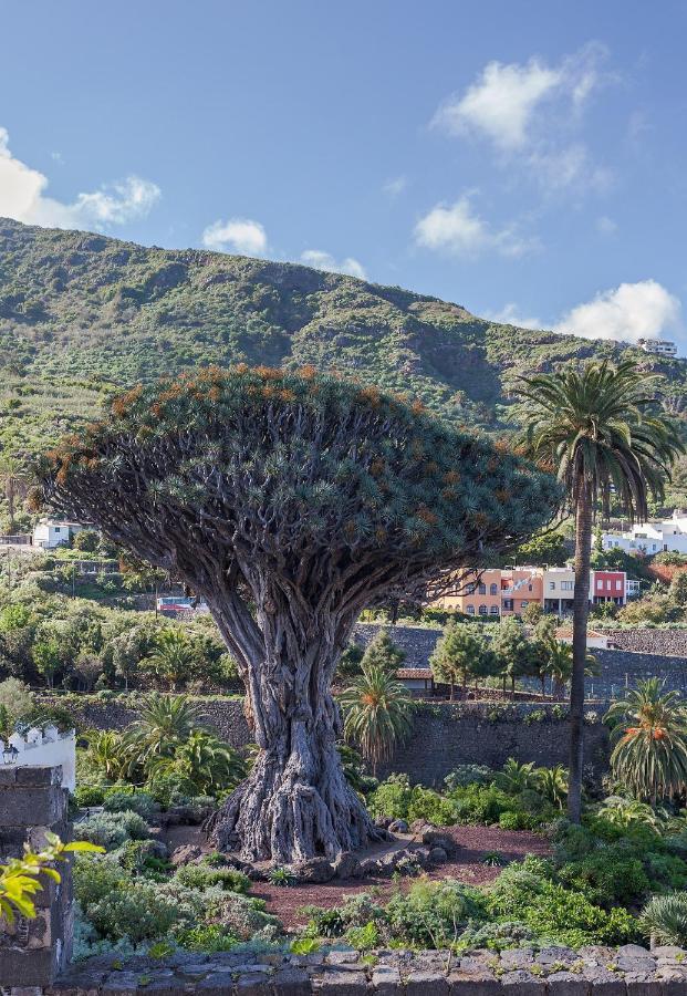 Apartmán Terraza Centrico Pueblo Aparcamiento Cerca Icod De Los Vinos Exteriér fotografie